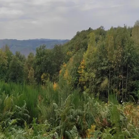 Apartment Charming Near Forests, Cleaning Included Érezée