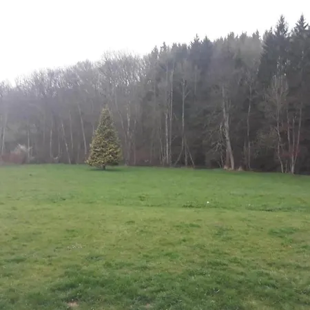 Charming Near Forests, Cleaning Included *